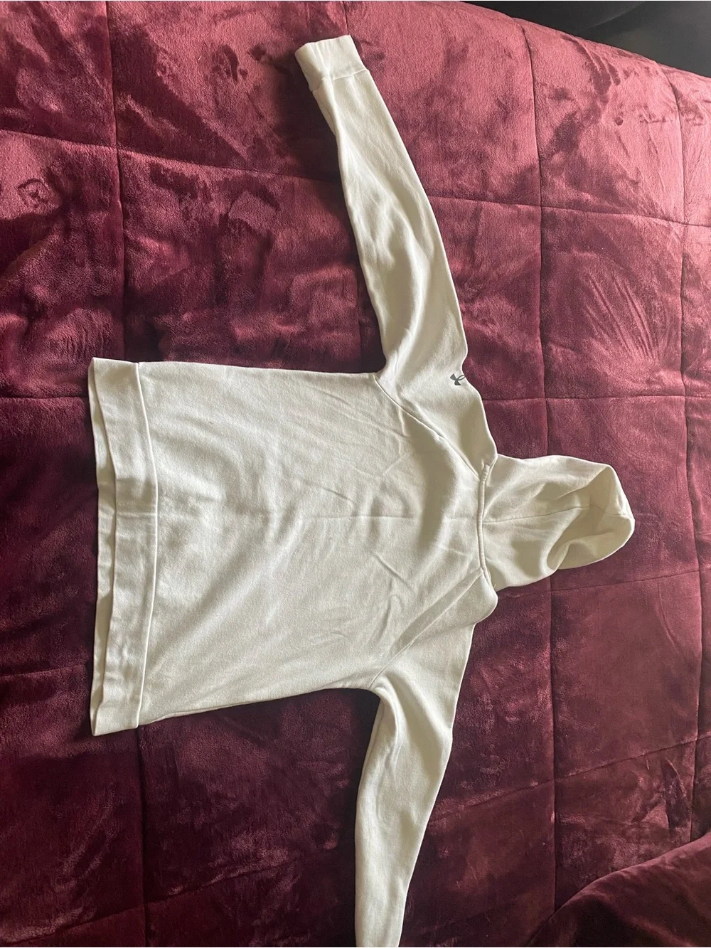 Youth Under Armour Project Rock Brahma Bull Hoodie White The Rock Kids